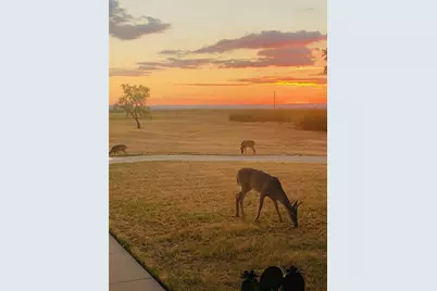 401 County Road 359 #B, Merkel, TX 79536 - Photo 36