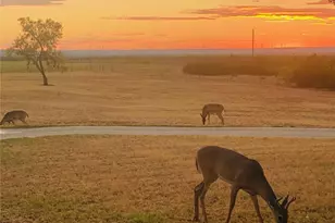401 Co Rd 359, Merkel, TX 79536 - Photo 36