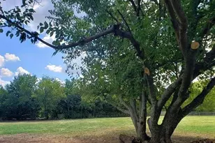 1168 Preston Meadows Rd, Sherman, TX 75092 - Photo 20