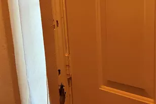 5107 Whitehaven Dr, Garland, TX 75043 - Photo 6