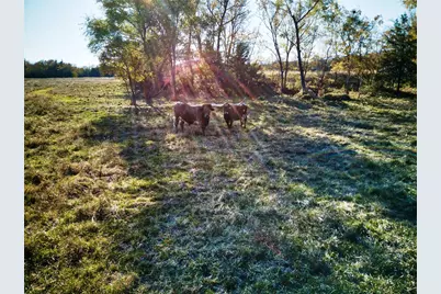 956 County Road 4231, Bonham, TX 75418 - Photo 20