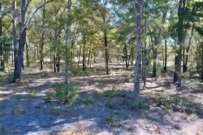 7559 N US Highway 69, Alba, TX 75410 - Photo 14