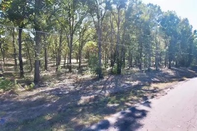 7559 N US Highway 69, Alba, TX 75410 - Photo 10