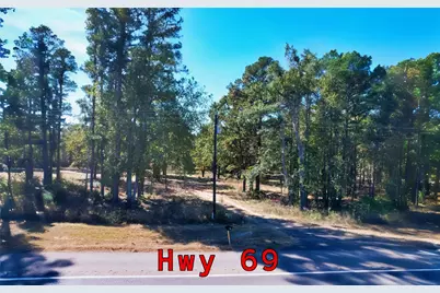 7559 N US Highway 69, Alba, TX 75410 - Photo 2