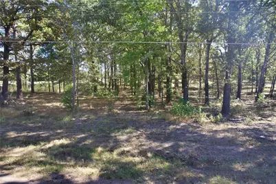 7559 N US Highway 69, Alba, TX 75410 - Photo 12