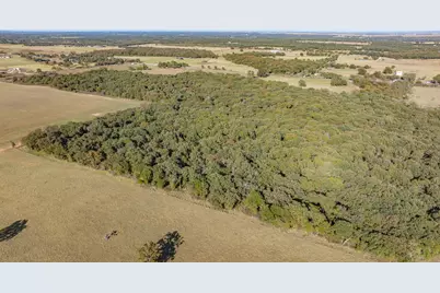 Tbd 45 Acres Hcr 1446 Road, Blum, TX 76627 - Photo 12