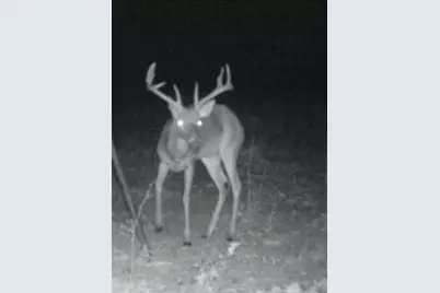 267 Private Road 6294, Palestine, TX 75801 - Photo 12