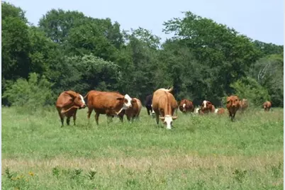 Tbd Cr-122, Kaufman, TX 75142 - Photo 8
