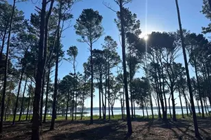 Lot 43 Oak River, Frankston, TX 75763 - Photo 4