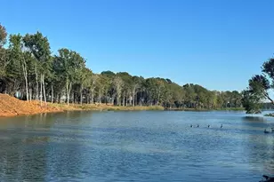 Lot 43 Oak River, Frankston, TX 75763 - Photo 1