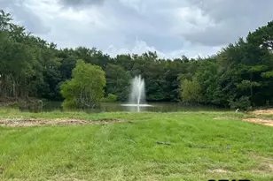 Lot 43 Oak River, Frankston, TX 75763 - Photo 12