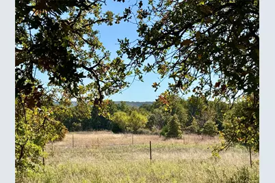 2753 Big Tree Road, Montague, TX 76251 - Photo 8
