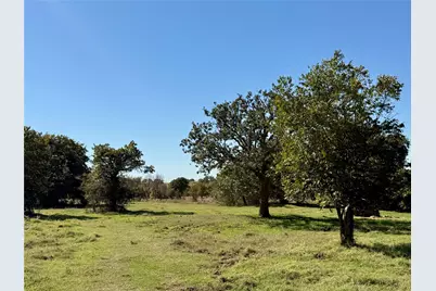 2753 Big Tree Road, Montague, TX 76251 - Photo 4