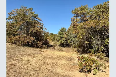 2753 Big Tree Road, Montague, TX 76251 - Photo 16