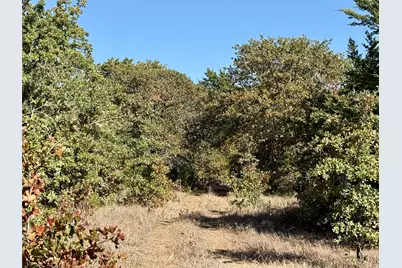 2753 Big Tree Road, Montague, TX 76251 - Photo 12