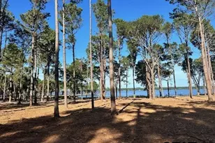 Lot 111 Oak River, Frankston, TX 75763 - Photo 12