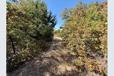 Tbd Big Tree Road, Montague, TX 76251 - Photo 22