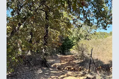 Tbd Big Tree Road, Montague, TX 76251 - Photo 12