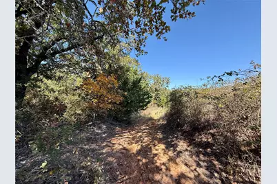 Tbd Big Tree Road, Montague, TX 76251 - Photo 16