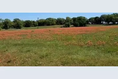 Tbd County Road 1480, Alvord, TX 76431 - Photo 6