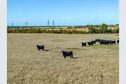 00 Fm 1651, Canton, TX 75103 - Photo 8