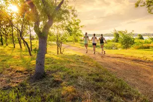 2924 Stonefield, The Colony, TX 75056 - Photo 40