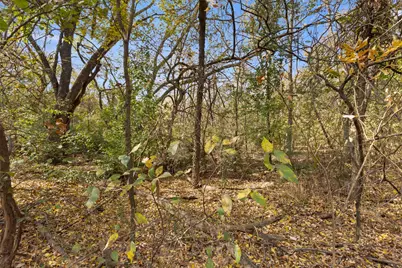 4801 Mesquite Street, Flower Mound, TX 75028 - Photo 6