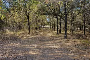 2500 Leech Rd, Poolville, TX 76487 - Photo 4