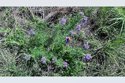 Tract 3, Key Road, Sherman, TX 75090 - Photo 10