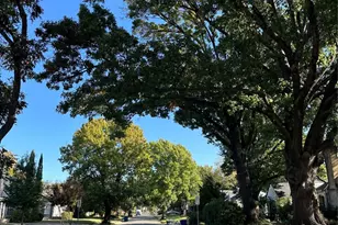 5114 Alcott St, Dallas, TX 75206 - Photo 10