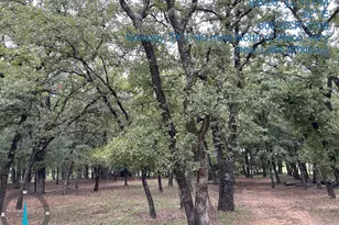 600 Hcr 1248, Whitney, TX 76692 - Photo 22