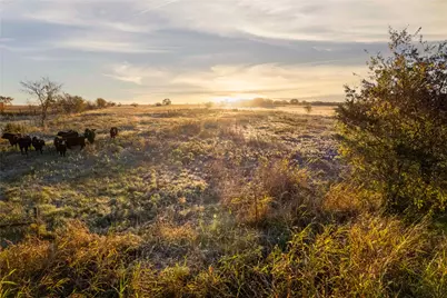1928 County Road 218, Gainesville, TX 76240 - Photo 14
