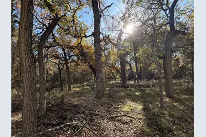 Tbd Fm 1655, Chico, TX 76431 - Photo 4