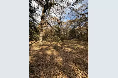 Tbd Fm 1655, Chico, TX 76431 - Photo 16