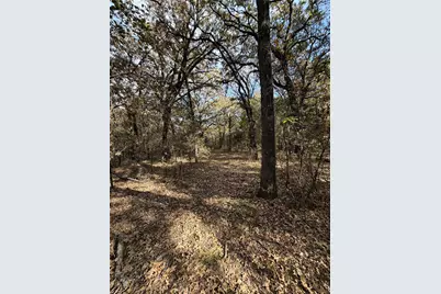 Tbd Fm 1655, Chico, TX 76431 - Photo 20