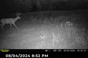 113 Ac Fm 3218, Commerce, TX 75428 - Photo 1