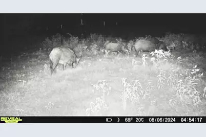 113 Ac Fm 3218, Commerce, TX 75428 - Photo 4