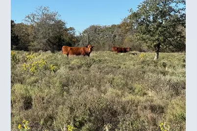 Tbd - Lot 88 Blissful Court, Graford, TX 76449 - Photo 14