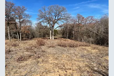 Tbd - Lot 88 Blissful Court, Graford, TX 76449 - Photo 6