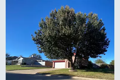 318 Alpine Drive, Weatherford, TX 76086 - Photo 4