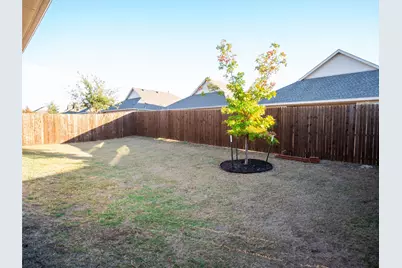 1107 Daffodil Street, Princeton, TX 75407 - Photo 26