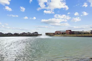 309 Meadow Lark Ln, Anna, TX 75409 - Photo 26