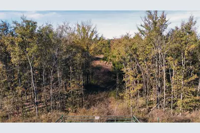 1439 Cedar Mills Road, Gordonville, TX 76245 - Photo 4