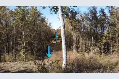 1439 Cedar Mills Road, Gordonville, TX 76245 - Photo 6