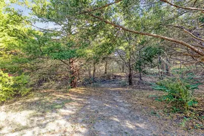 567 Celtic, Howe, TX 75459 - Photo 28