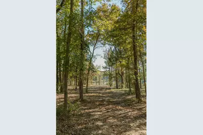Lot 15 Private Road 5948, Yantis, TX 75765 - Photo 6