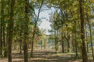 Lot 15 Private Road 5948, Yantis, TX 75765 - Photo 6