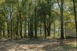 Lot 15 Private Road 5948, Yantis, TX 75765 - Photo 10