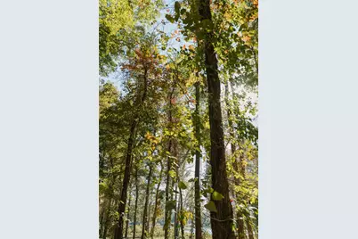 Lot 15 Private Road 5948, Yantis, TX 75497 - Photo 10