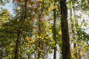 Lot 15 Private Road 5948, Yantis, TX 75497 - Photo 10